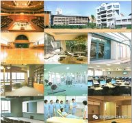 明日叶优秀合作院校-日本