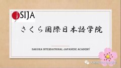 明日叶优秀合作院校-SIJ